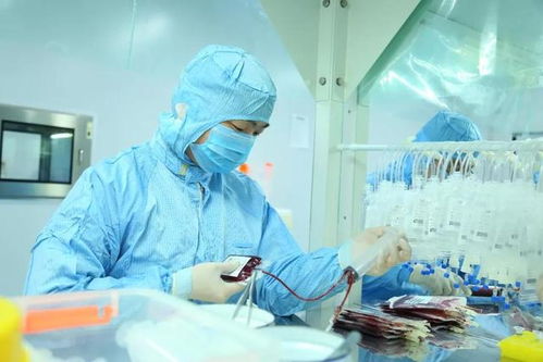 生孩子前，这件事至关重要 干细胞和免疫细胞储存及生物转化医学